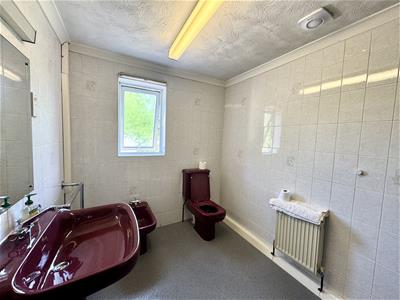 Picture 13